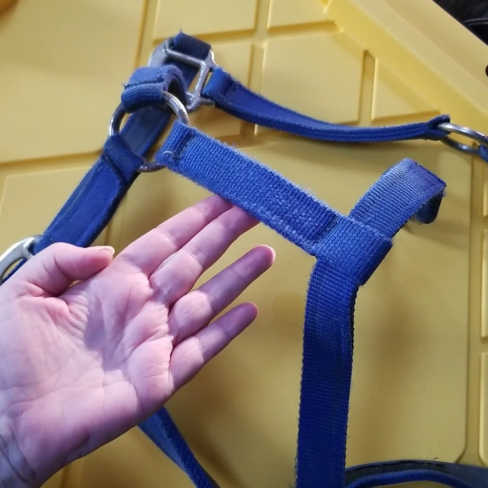 🐴ADJUSTABLE HORSE HALTER - Picture 5 of 8